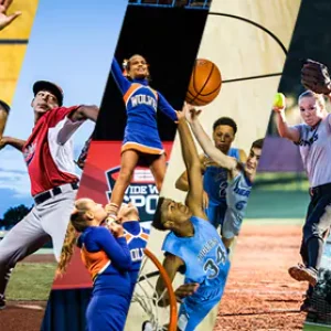 sports sports